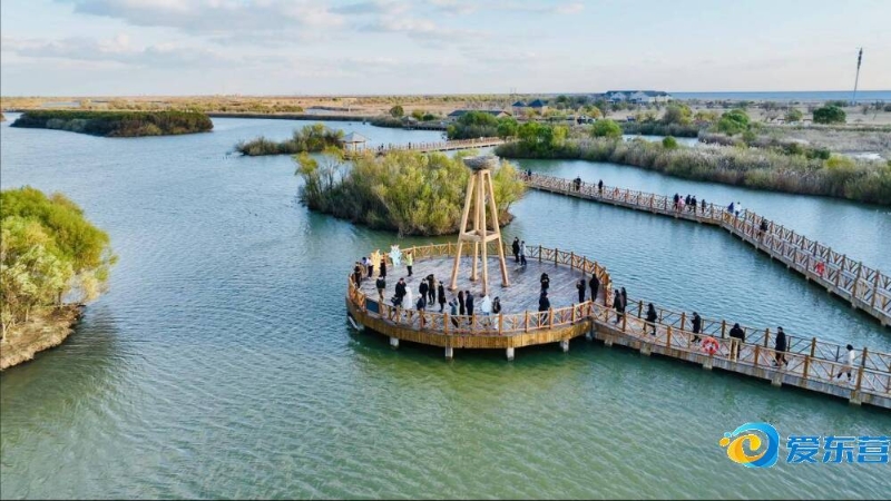 控战术比作 控战术比作